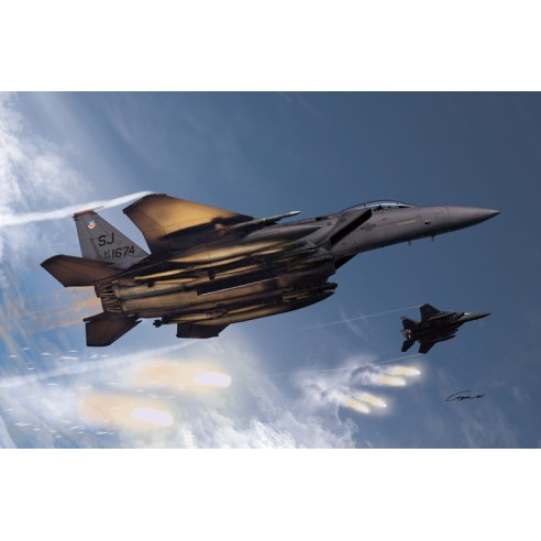 Academy 1 72 USAF F-15e 333th FIGHTER SQ MODELER''S EDITION