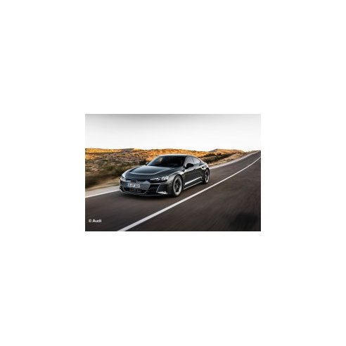 RC Scale Car Audi e-tron GT