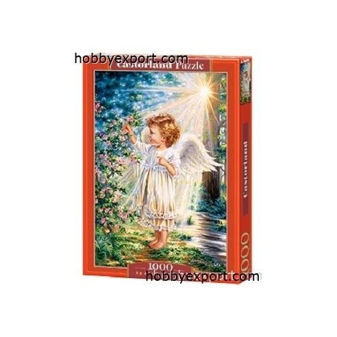 N A PUZZLES AN ANGELS TOUCH 1000 PIECES 68X47 CM